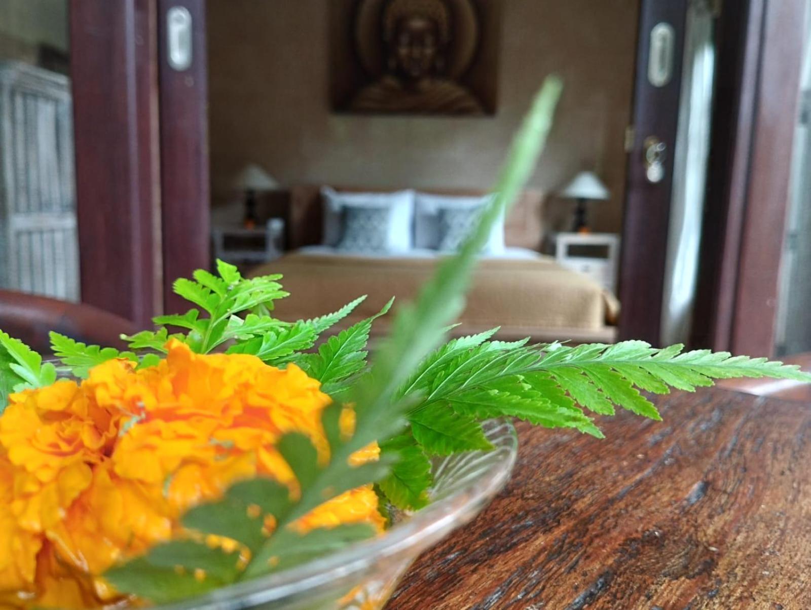 Umah Ubud Guest House Esterno foto